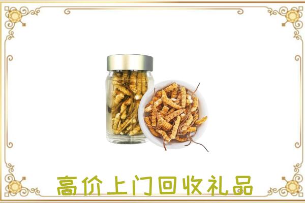 保定周边回收虫草